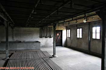 IMG_ (10829)